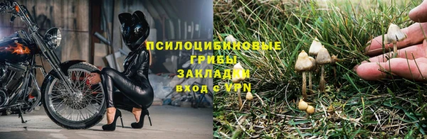 герыч Алзамай